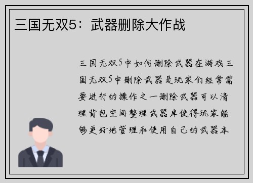 三国无双5：武器删除大作战
